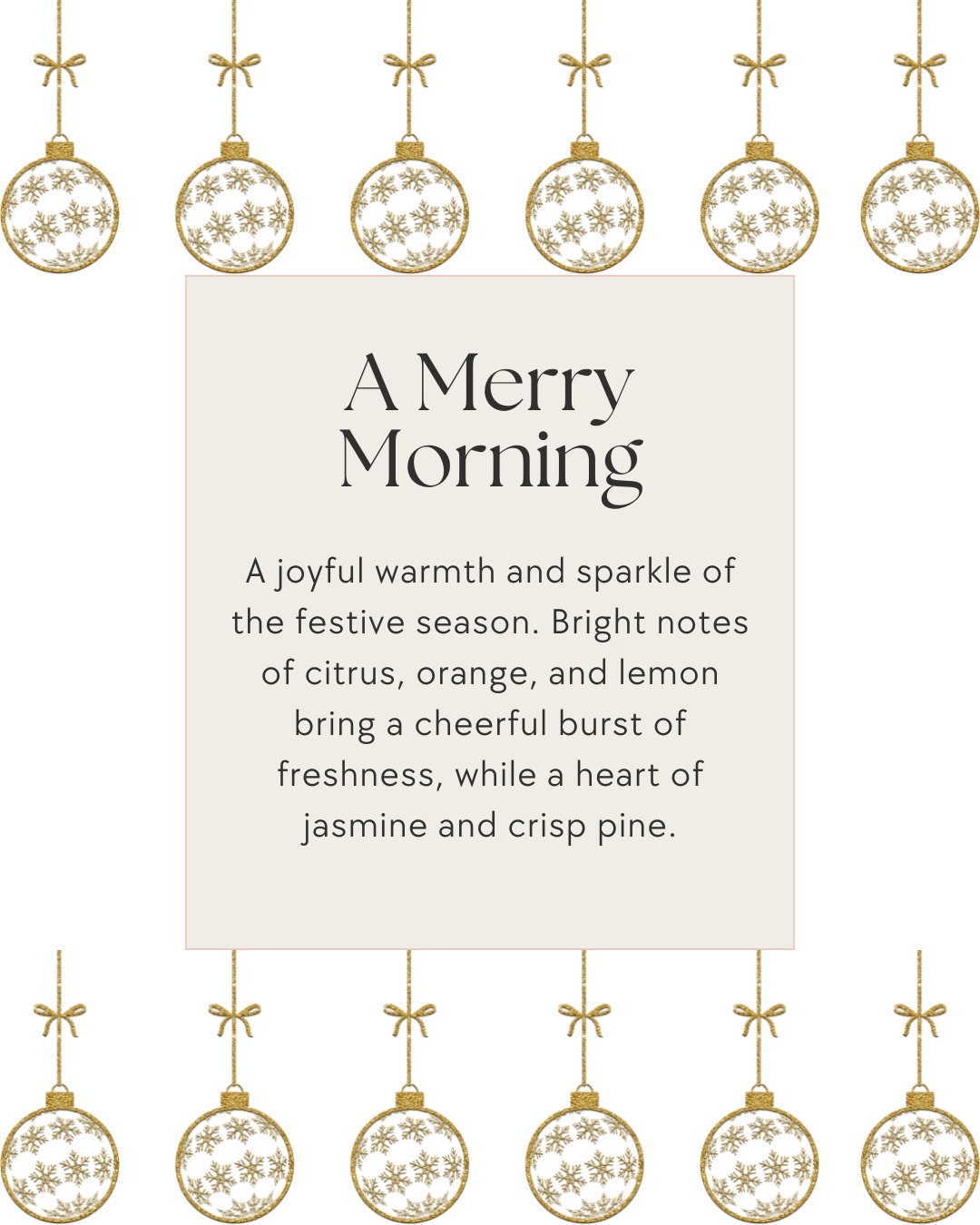 A Merry Morning Mini Scoopies