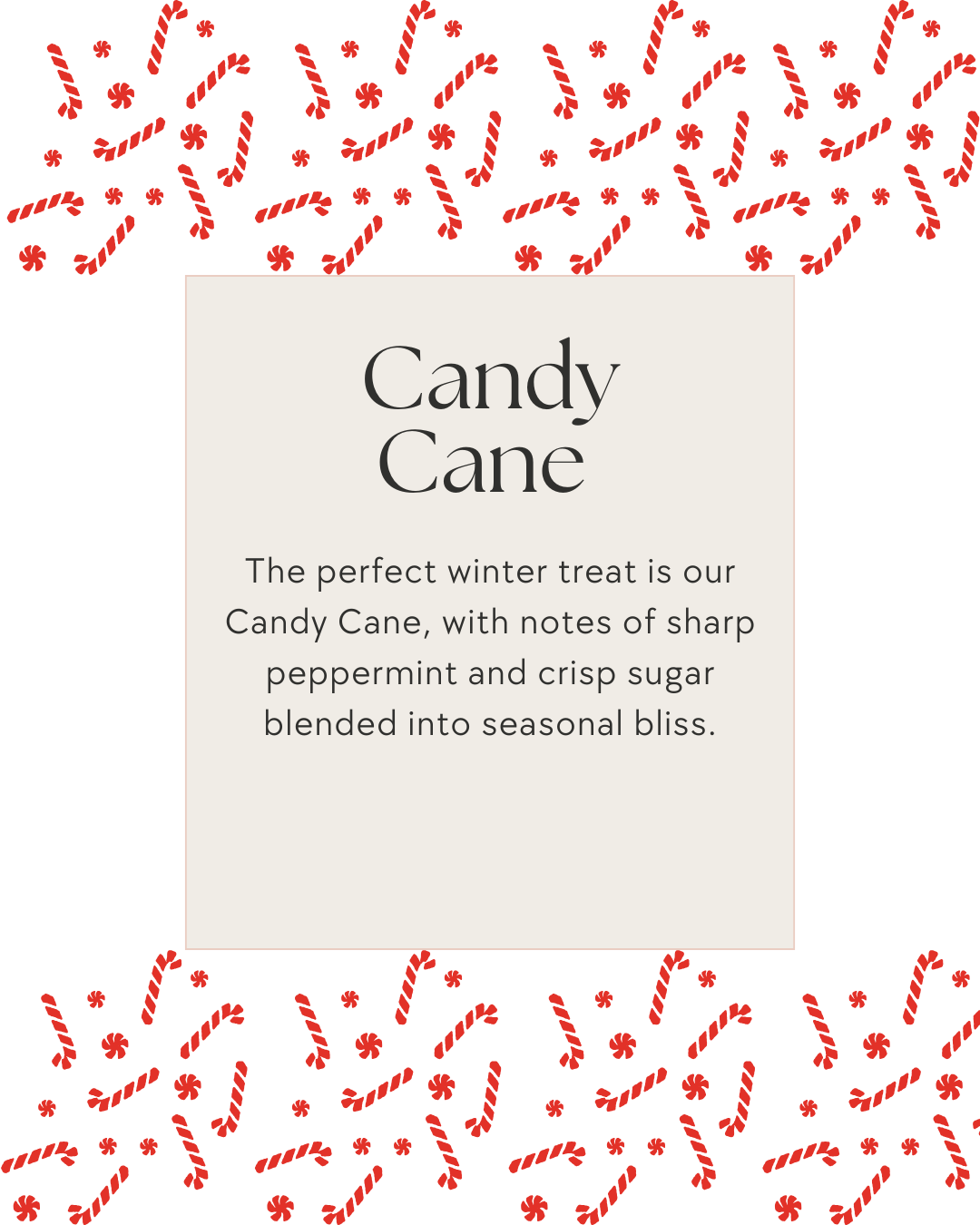 Christmas Soy Wax Snapbars