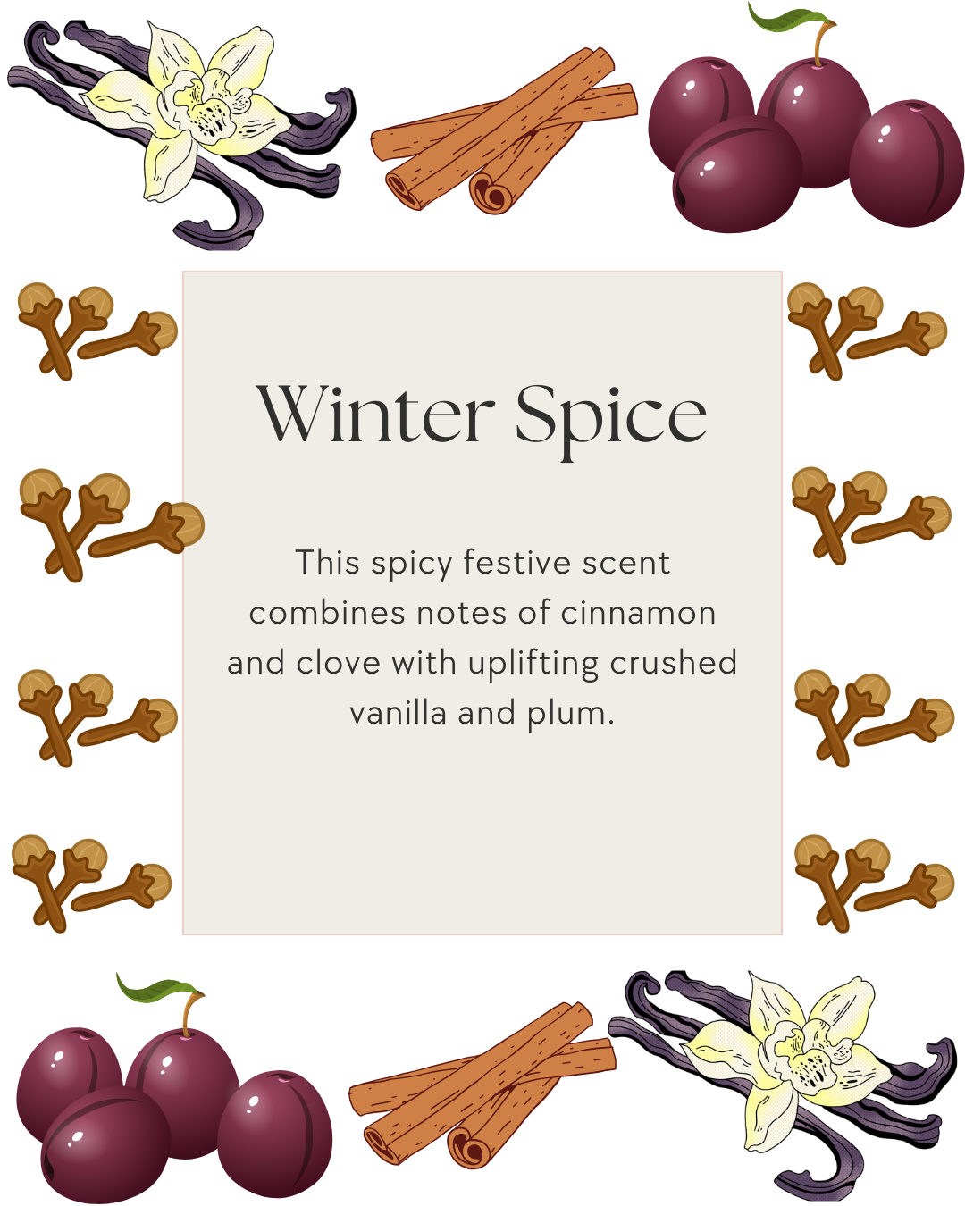 Christmas Soy Wax Snapbars